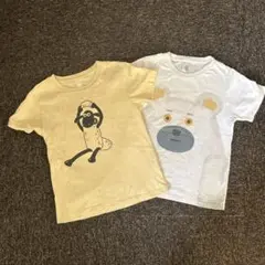 グラニフ graniph ツペラツペラ しろくまさんのパンツ ひつじのショーン