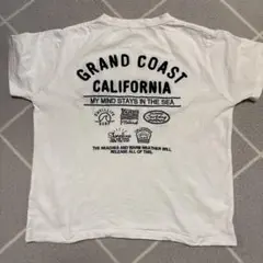 レディースTシャツ　白　刺繍