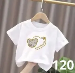 コットン100% クマ　ハート　プリントTシャツ　120サイズ　新品