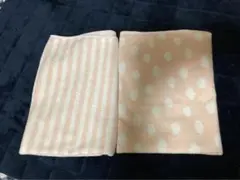 Item thumbnail for item 4c70e8c3-7276-4723-96b7-978fed7f394a