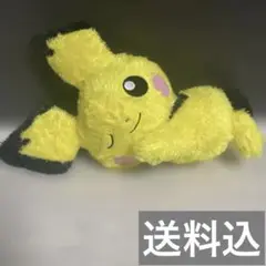 ピチュー めちゃもふぐっとくつろぎタイム
