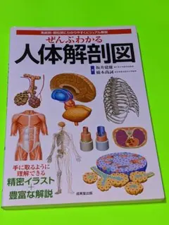 ぜんぶわかる人体解剖図 系統別・部位別にわかりやすくビジュアル解説