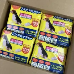 Item thumbnail for item 44882e59-6c93-4c72-8f84-3c2757443f2e