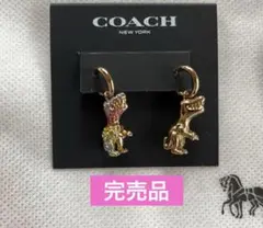 ✨極美品✨COACH コーチ　レキシー　レインボー　恐竜　ピアス　両耳　激レア ✨極美品✨COACH コーチ レキシー レインボー 恐竜 ピアス 両耳