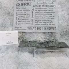 Item thumbnail for item 6f453990-954d-47a4-994b-66c203161f59