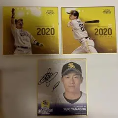 福岡ソフトバンクホークス 色紙