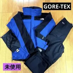 【美品✨】ザノースフェイス GORE-TEX レインテックスプラズマパンツ XL THE NORTH FACE（ノースフェイス）のレインテックス プラズマ
