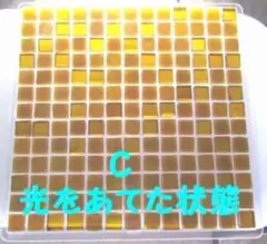10ミリ角ガラスタイルバラ169個　色C