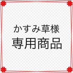 ユキエモン　デコレーションパーキング　ハンドメイドお薬手帳ケース　2点！
