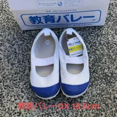 【新品】教育バレーDX 青 18.5cm