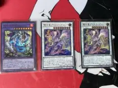 騎士皇プリメラ・プリムス　スネークアイズダムドドラゴンセット