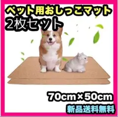Item thumbnail for item 5de57fa3-dbf1-4e56-9bd9-d3590f1b1c4e