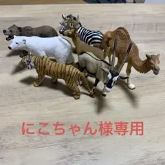 激レア　希少　限定4頭　ドイツ　シュライヒ社　ラクダ　キリン　アルパカ　ヒツジ Amazon.co.jp: シュライヒ ワイルドライフ ヒトコブラクダ