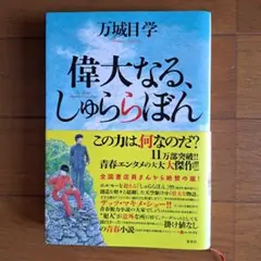 偉大なる、しゅららぼん