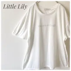 最終価格✨美品✨ リトルリリー 半袖カットソー Tシャツ 3L 大きいサイズ