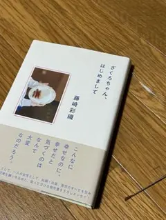 「ざくろちゃん、はじめまして」「ふたご」セット 藤崎彩織『ざくろちゃん、はじめまして』