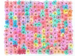 押し花 素材 訳あり コデマリ No.6