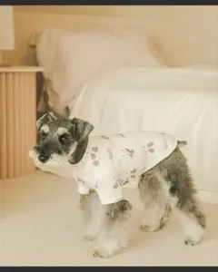 Item thumbnail for item f8a5bb4d-ffb0-47d2-bd13-f6bd229f4f99