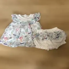 メゾピアノ 31アイスクリーム セットアップ