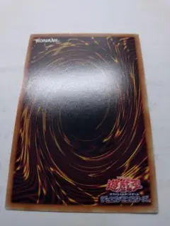 専用　遊戯王