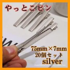 Item thumbnail for item eeb24d30-38a8-487f-89f8-0e48af5b3b58