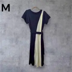 Item thumbnail for item 825a4e52-9288-4970-8081-47fb09278445