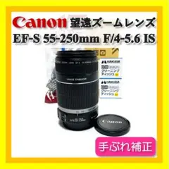 Item thumbnail for item 9f5107e3-668f-44b7-9682-46bb70223ee8