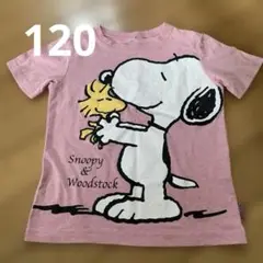 キッズ　半袖Tシャツ　120