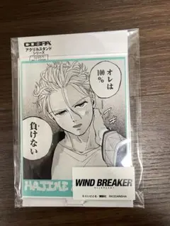WIND BREAKER ウィンブレ コスパ アクリルスタンド 梅宮一