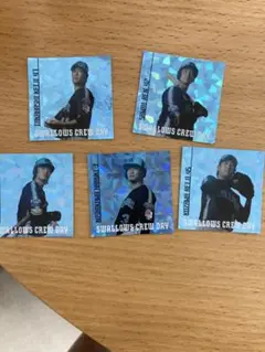 スワローズクルーデー 選手カードセット