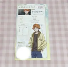 KING OF PRISM キンプリ プリズム結婚調査報告書 カケル コウジ