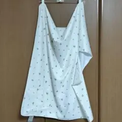 Item thumbnail for item 2e1e77c2-2c2f-429f-b41d-ab2a1b164520