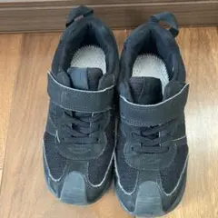 Item thumbnail for item 904ab9ee-11d5-4603-9040-fe0de1ee03a2