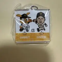 グリフィン　ジャビット　アクキー