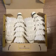 バドミントン中古シャトル500