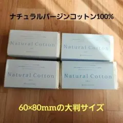 Item thumbnail for item 58ac49cd-0628-41d0-8a4c-13cde793d005