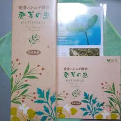 2025年最新】発芽の恵の人気アイテム - メルカリ
