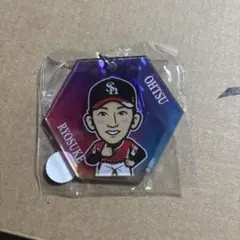 大津亮介 ヘキサゴン型キーホルダー