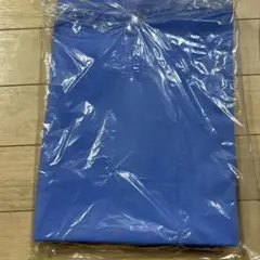 Item thumbnail for item b7ee4e19-4ce1-4481-8eef-2665c8783f55