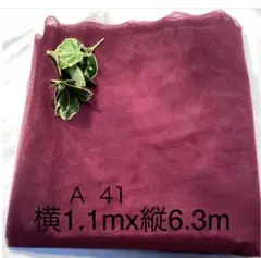 A 41 チュールレース