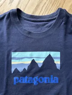 patagonia 半袖Tシャツ XS