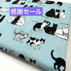 3000件突破感謝セール！ 生地　ハギレ　ネコ柄　猫の遊び場　ブルー　スケア地