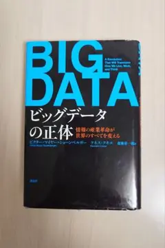 ビッグデータの正体