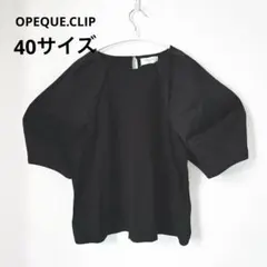 ＬサイズOPEQUE.CLIPお袖ボリュームトップスオペークドットクリップ