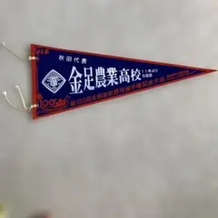 金足農業高校 ペナント 第100回記念大会