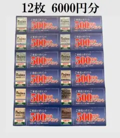 ノジマ 株主優待 来店ポイント 12枚 6000ポイント 最新 期限23年7月