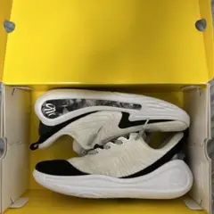 カリー12 Curry12
