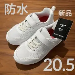 Item thumbnail for item f4c2db57-9e23-4eb5-bb20-9274b612d74a