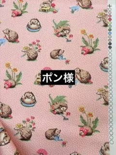 キャスキッドソン　はりねずみ　コットンダック