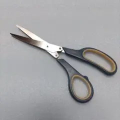 Item thumbnail for item 39c43a30-5d8a-4b10-8d71-a8ff757e4c42